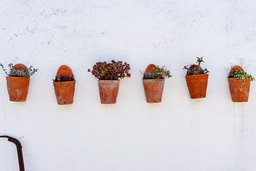 Photographie de voyage Portugal | Nature morte : six pots en terre cuite d'affilée sur AIM52 Shop