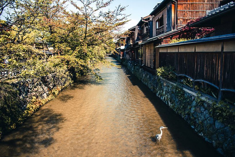 Straße in Gion, Kyoto von Expeditie Aardbol