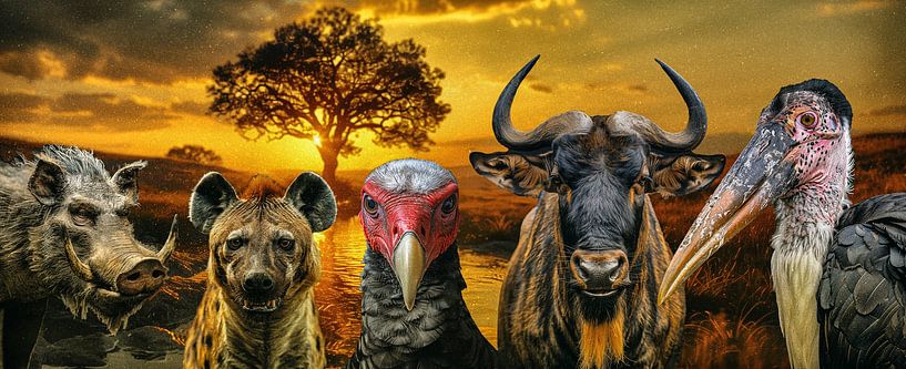 The South African Ugliest 5 by Luc V. de Zeeuw