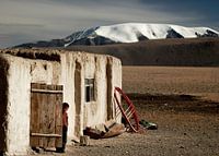 Shy in western Mongolia