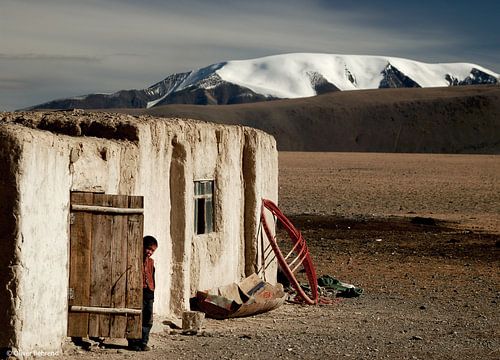 Timide en Mongolie occidentale sur Chasing Light
