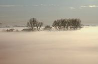 Landschaft mit einer Nebelbedeckung am frühen Morgen von Abra van Vossen Miniaturansicht