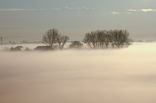 Landscape with a blanket of fog