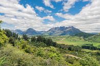 Blick auf die grünen Berge in Neuseeland von Linda Schouw Miniaturansicht