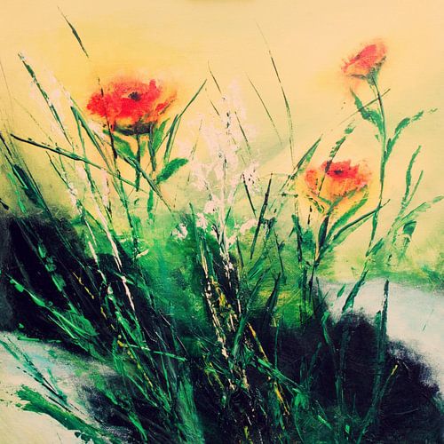 Mohnblumen am Straßenrand