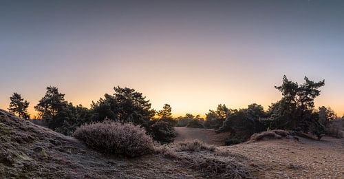 Frosty Cold Twilight