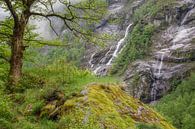 Landschap in Val Bavona van Peter Eckert thumbnail