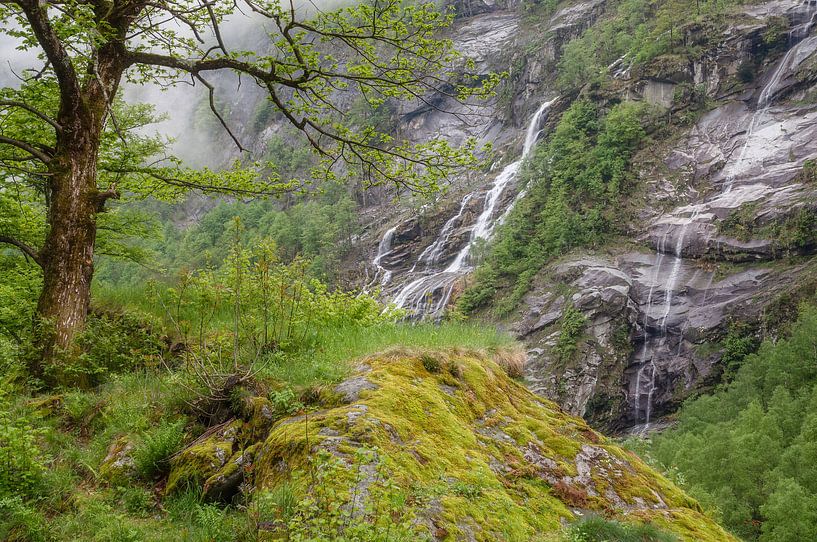 Landschap in Val Bavona van Peter Eckert