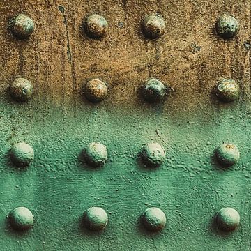 green brown steel plate with rivets by Dieter Walther