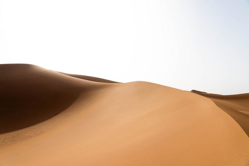 Sahara °2 by mirrorlessphotographer