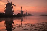 Nebliger Sonnenaufgang Kinderdijk