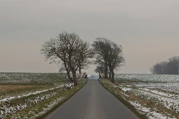 doorkijkje polder Groningen , coupure, wad, dijk van M. B. fotografie