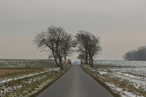 doorkijkje polder Groningen , coupure, wad, dijk