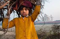 Jongen verzamelt kreupelhout tegenover de Taj Mahal in Agra India. Wout Kok One2expose van Wout Kok thumbnail