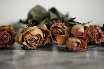 Gedroogde rozen pastel van Niek Traas