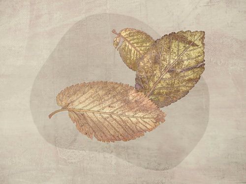 Scandinavisch. Laatste Bladeren in Beige. 1.