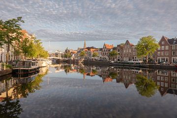 Spaarne Haarlem by Thea.Photo