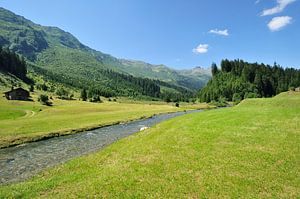 Fluss bei Olivone, Schweiz