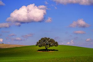 Herbst in Andalusien Spanien