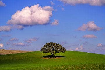 Herbst in Andalusien Spanien