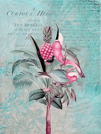 Parkieten in het tropisch regenwoud van Andrea Haase