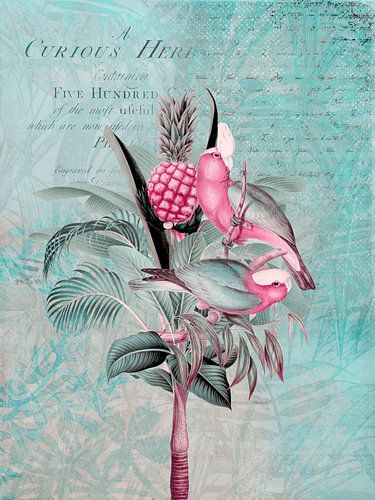 Parkieten in het tropisch regenwoud