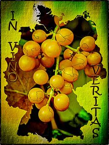 Deutschlandkarte - In Vino Veritas