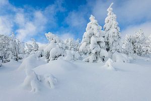 Wintertag