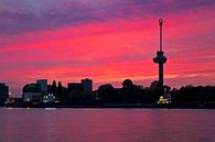 Avondrood Euromast te Rotterdam van Anton de Zeeuw thumbnail