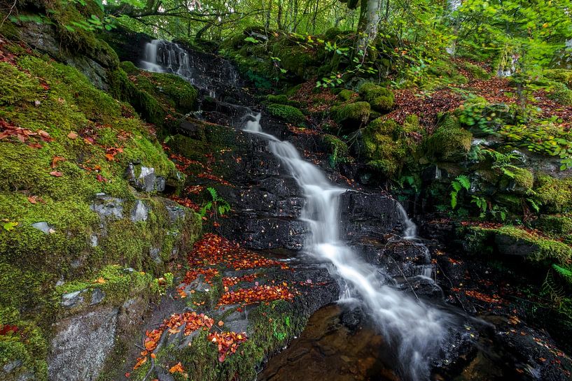 Schottland &quot;The Birks Of Aberfeldy&quot; von martin slagveld