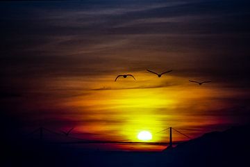 Sonnenuntergang Golden Gate Bridge von Dieter Walther
