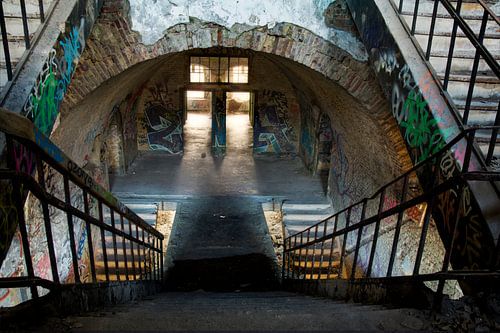 Urban fort chartreuse