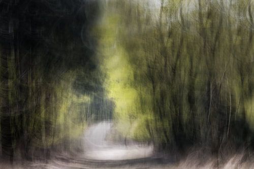 Abstract van bos