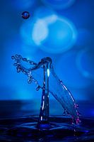 Wassertropfen.