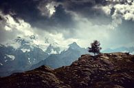 Majestätische Alpen von Dirk Wüstenhagen Miniaturansicht