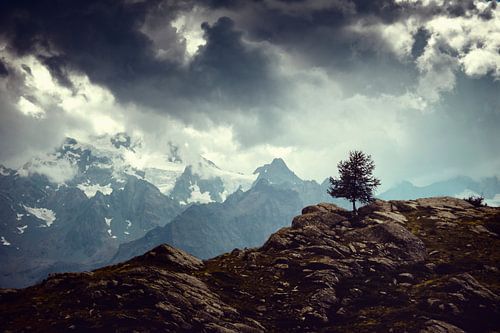 Majestic Alps