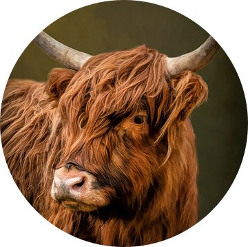 Schotse Hooglander portret met warme achtergrond van Marjolein van Middelkoop