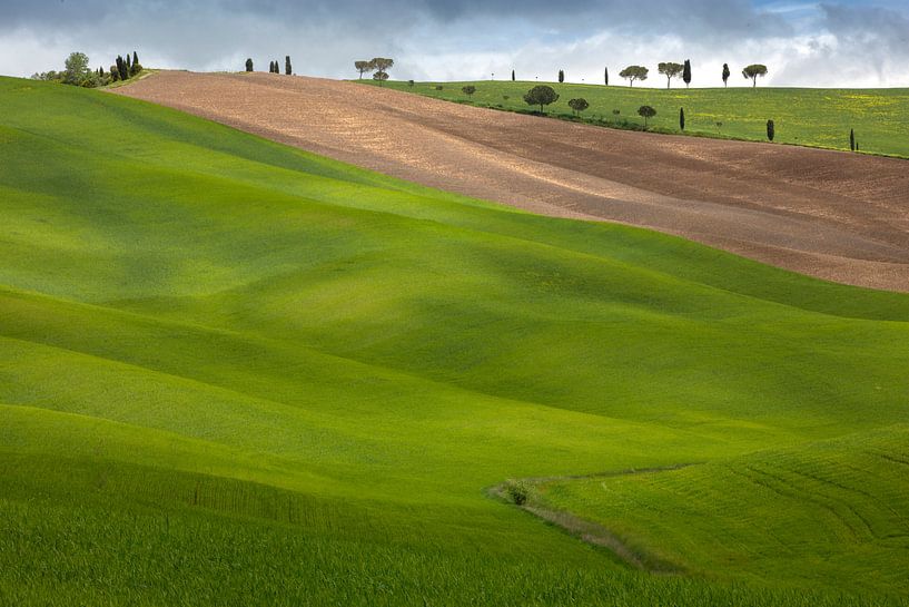 Light and shadow in Tuscany van Andreas Müller