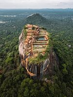 Lion’s Rock boven de jungle (staand)