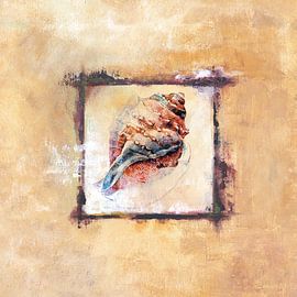 MUSCHEL 2 von Aydin Yalcin