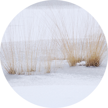 Minimalistisch winterlandschap 1 van Jaap Tanis