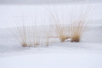 Minimalistisch winterlandschap 1 van Jaap Tanis