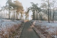 Natuurgebied De Malpie