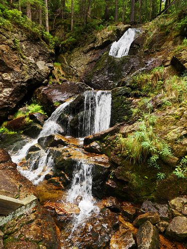 Riesloch Rieslochfälle bei Bodenmais, Bayern 12