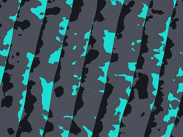 Meetkaart — Topografisch