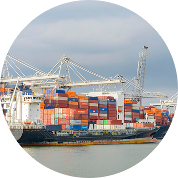 Container schepen in de haven van Rotterdam van Sjoerd van der Wal Fotografie