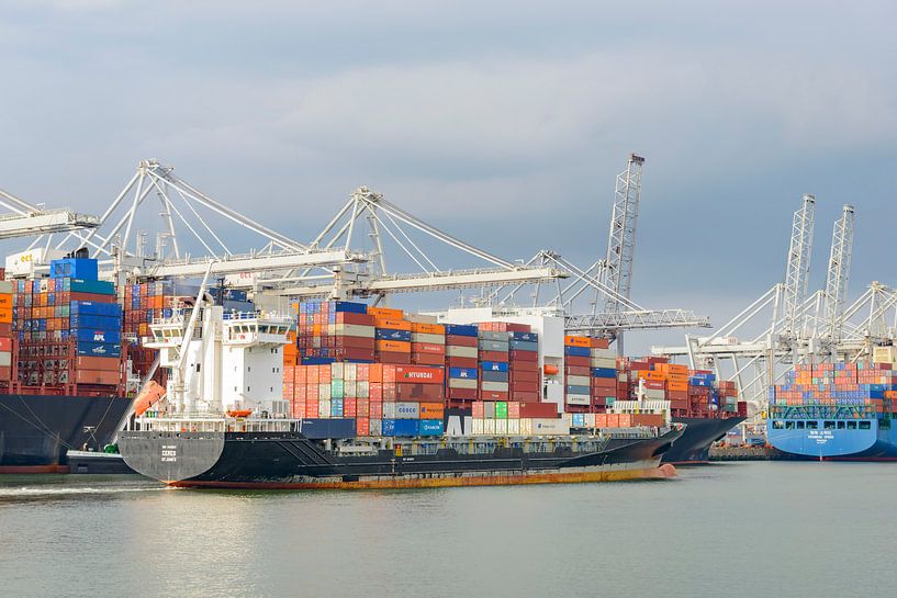 Container schepen in de haven van Rotterdam van Sjoerd van der Wal Fotografie