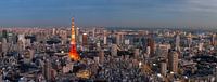 Blick auf den Tokyo Tower während "blaue Stunde"
