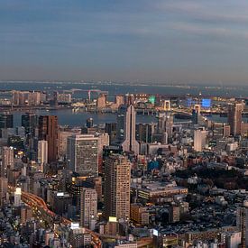 Vue de la tour de Tokyo pendant "heure bleue" sur Juriaan Wossink