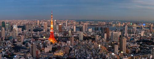 Uitzicht op de Tokyo Tower tijdens "blue hour"